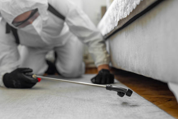 Professional Bed Bug Control technician working in Spring Valley, WI