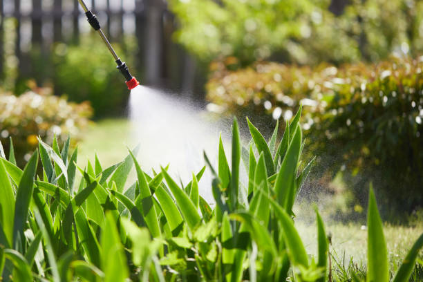 24/7 Emergency Bed Bug Control experts in Spring Valley, WI